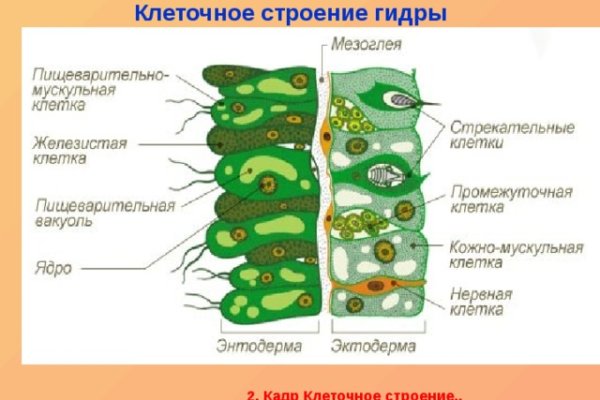 Кракен какой сайт