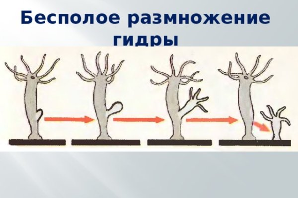 Кракен официальный сайт онион