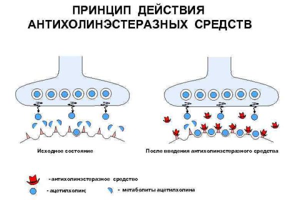 Kraken ссылка kraken clear com