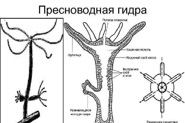 Кракен наркотики россия